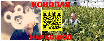 сатива Нарткала