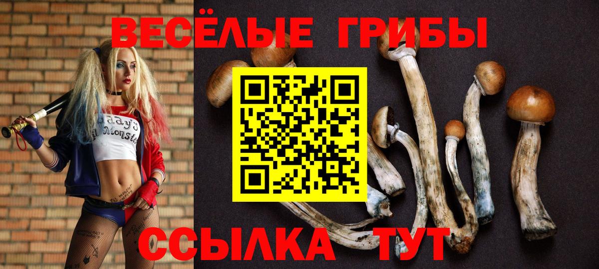 Галлюциногенные грибы мухоморы  Вход с VPN  хочу   Среднеуральск 