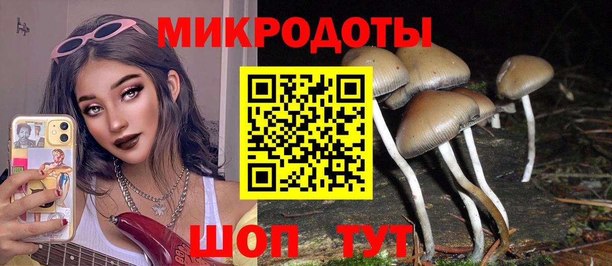 Галлюциногенные грибы Cubensis Среднеуральск